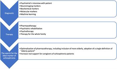 Crossroad between current knowledge and new perspective of diagnostic and therapy of late-onset schizophrenia and very late-onset schizophrenia-like psychosis: An update